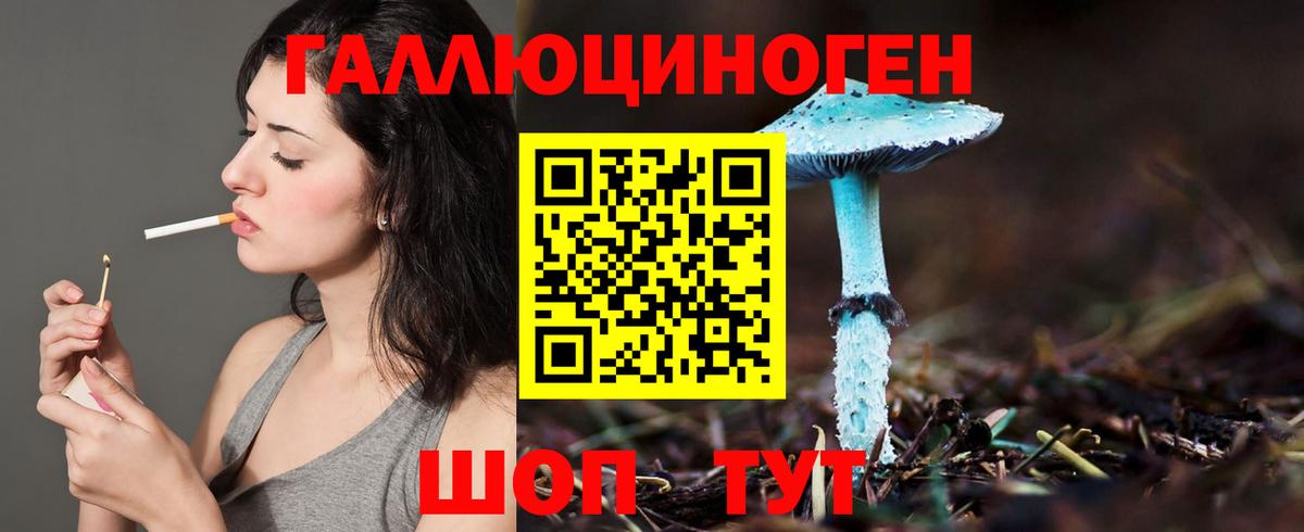 Галлюциногенные грибы Cubensis  Вход с VPN  Муравленко 