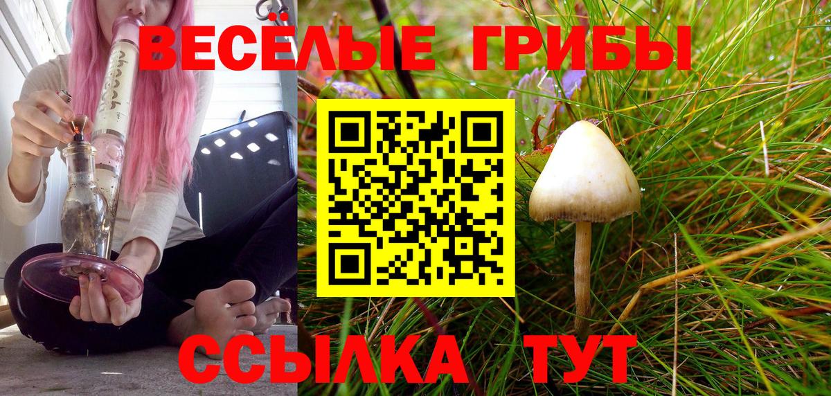 Галлюциногенные грибы мицелий Муравленко